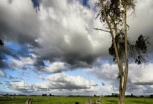 再等等!记者:曼联尚未报价莱比锡前锋塞斯科,莱比锡对曼联比分