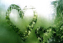 名记:活塞现在处于上升期 赛季中期可能会寻求交易补强,活塞现在的阵容