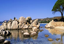 再等等!记者:曼联尚未报价莱比锡前锋塞斯科,莱比锡对曼联比分