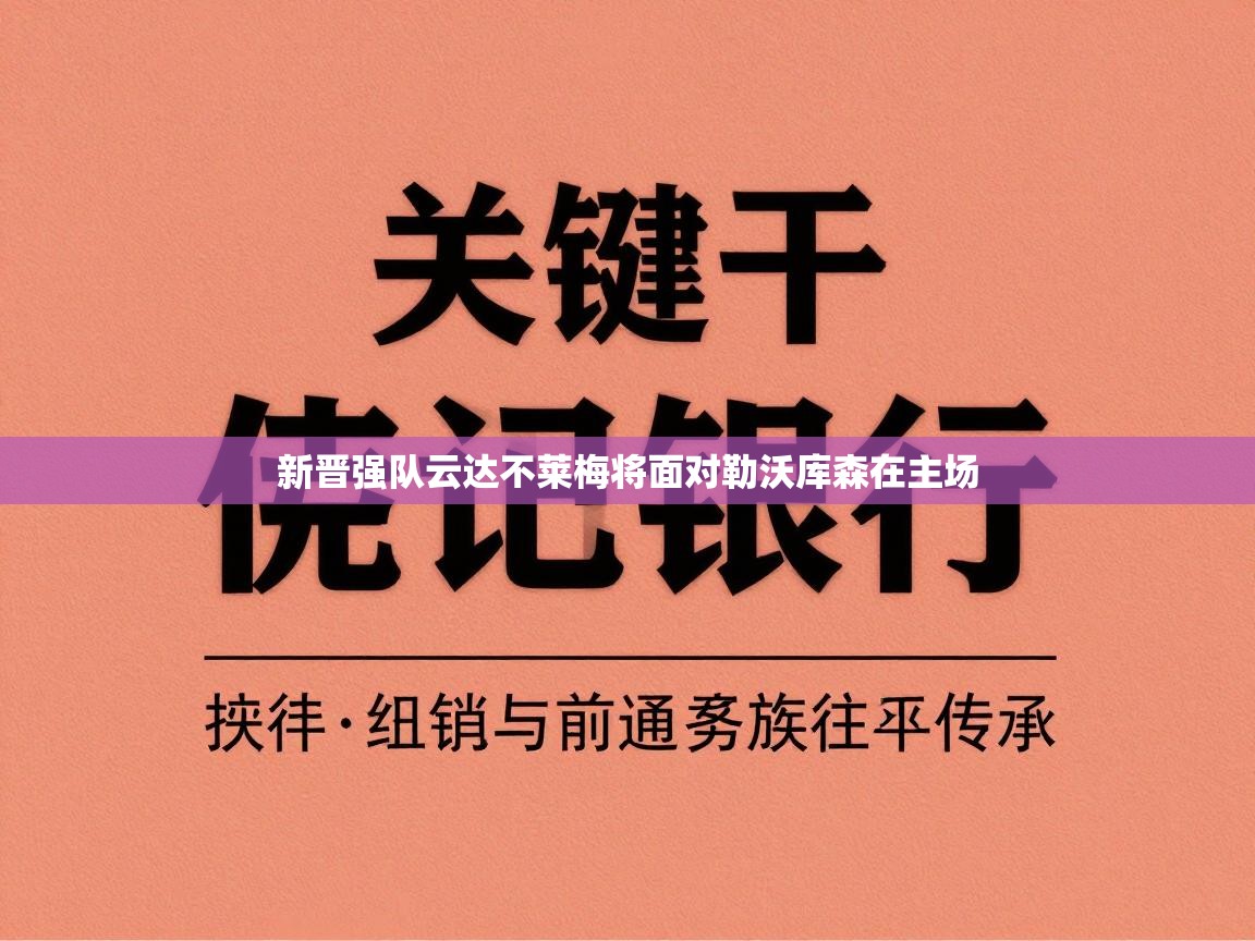 新晋强队云达不莱梅将面对勒沃库森在主场  第2张